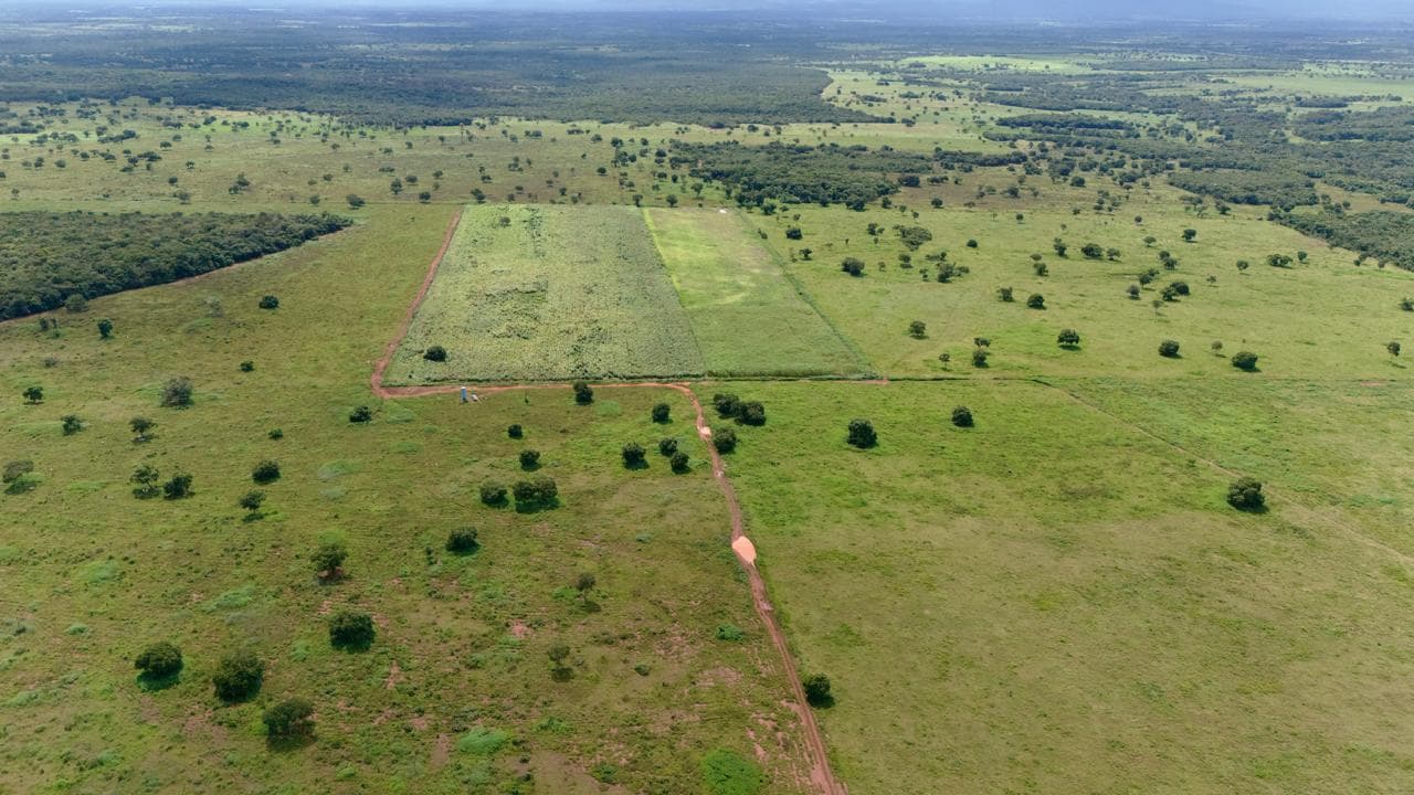 Fazenda em Rosário Oeste - ARRENDAMENTO