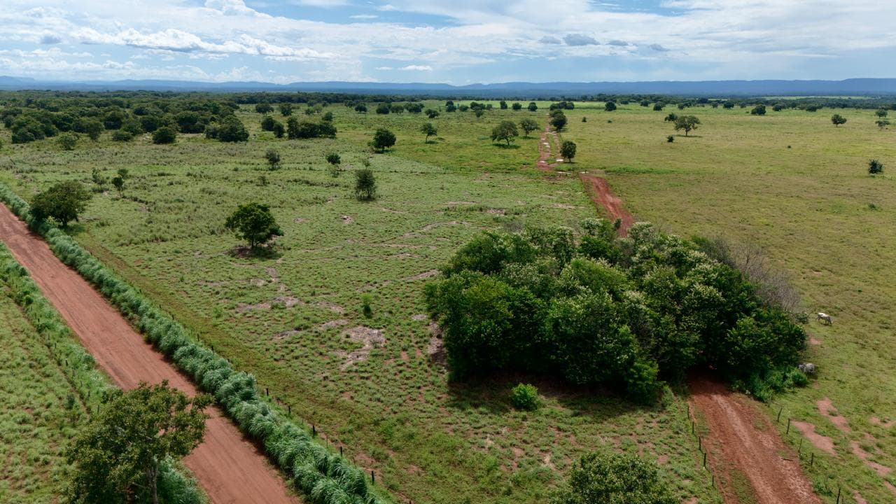Fazenda em Rosário Oeste - ARRENDAMENTO