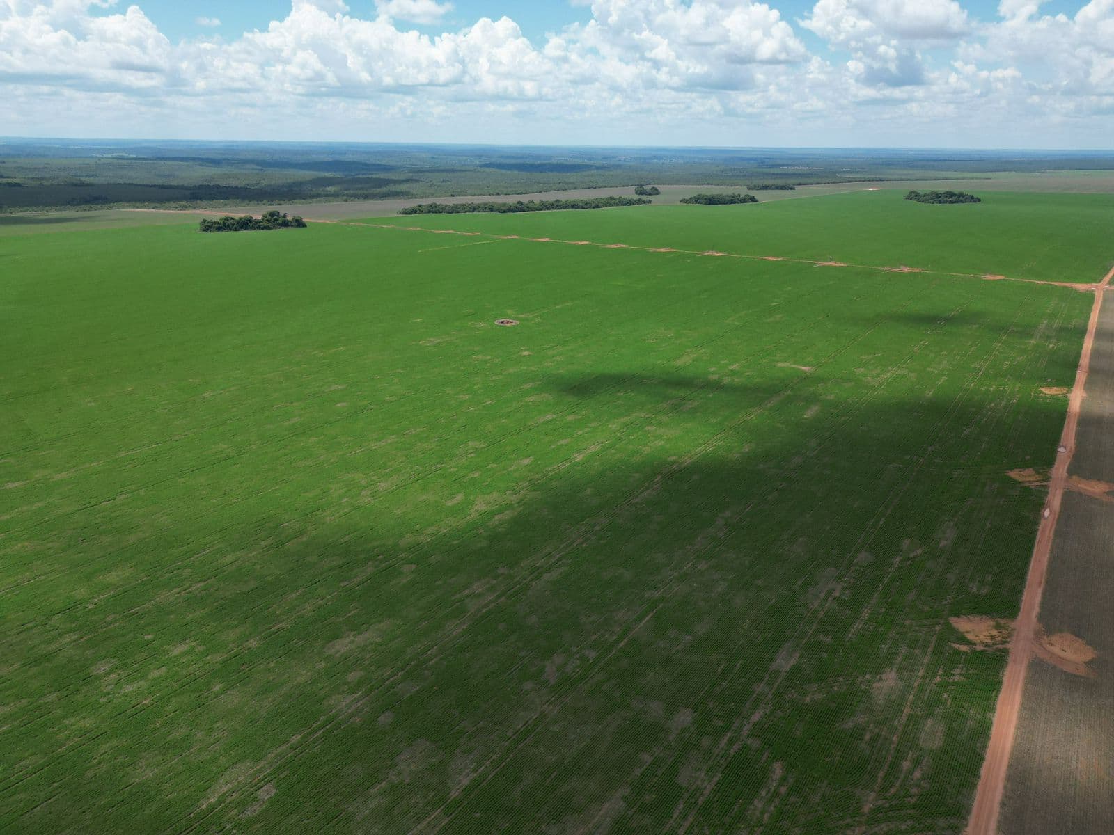 Fazenda Rincão Alegre - ARRENDAMENTO