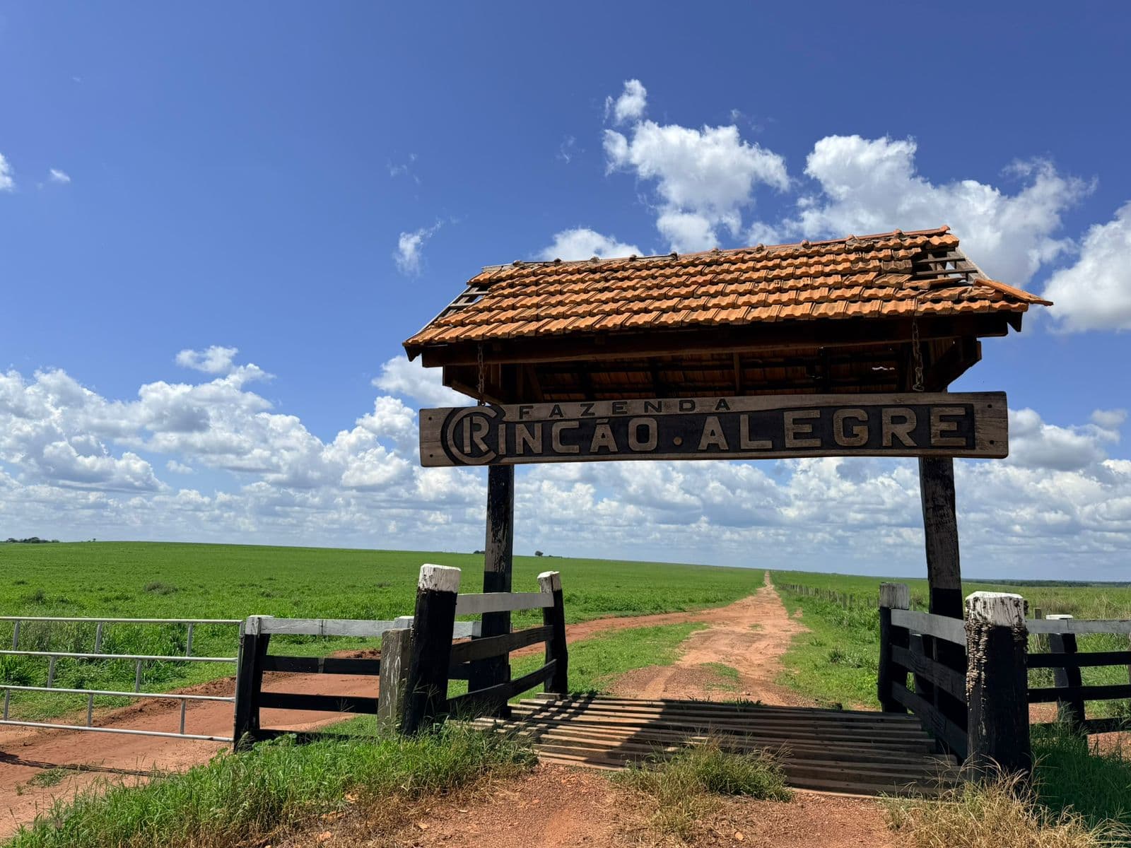 Fazenda Rincão Alegre - ARRENDAMENTO