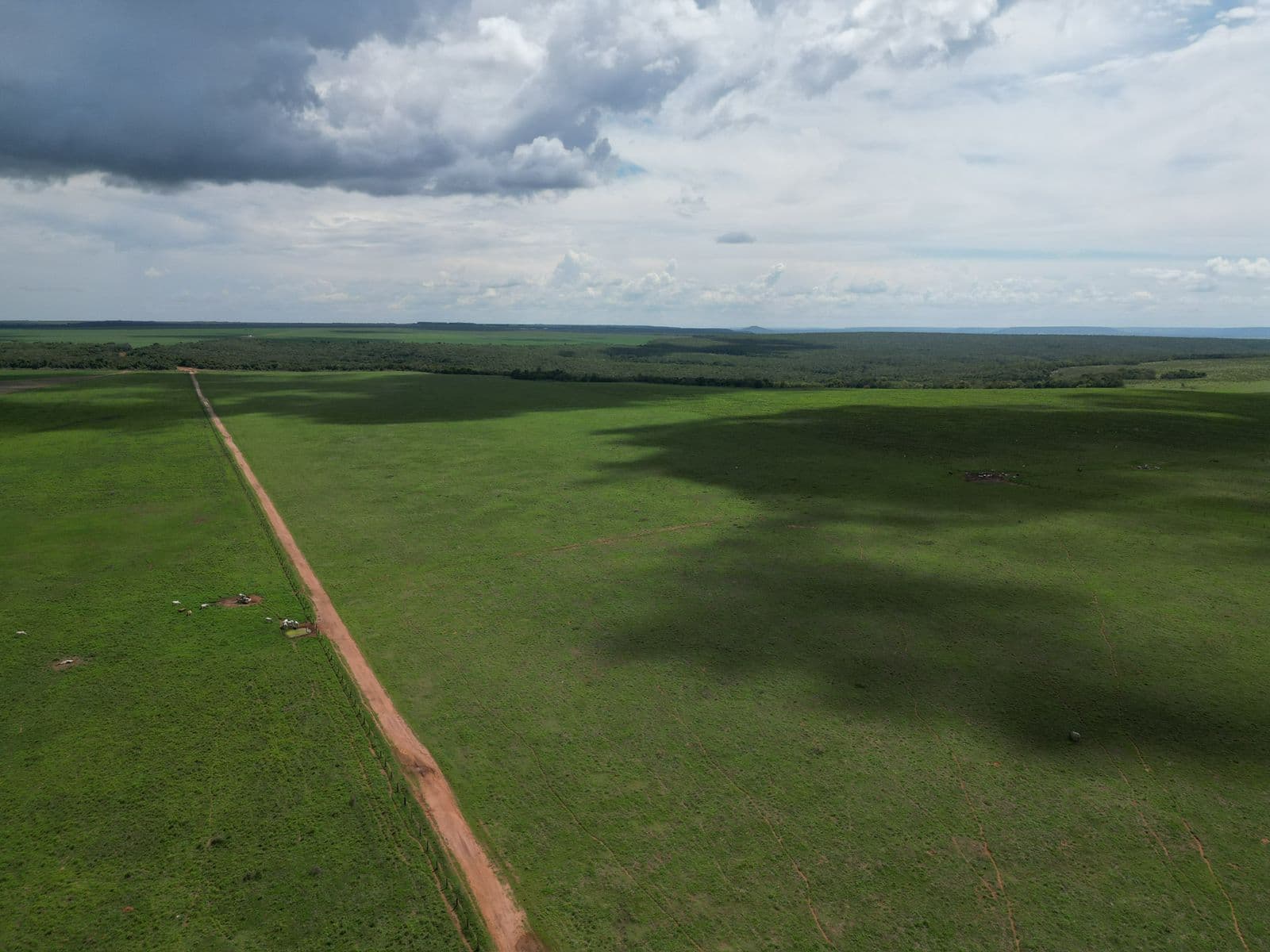Fazenda Rincão Alegre - ARRENDAMENTO